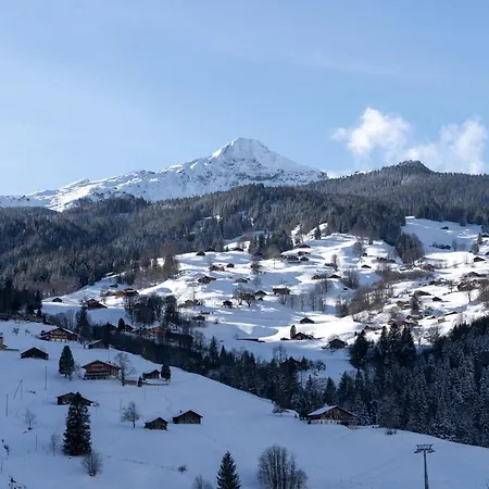 Апартаменты The Glacier Express - Grindelhomes