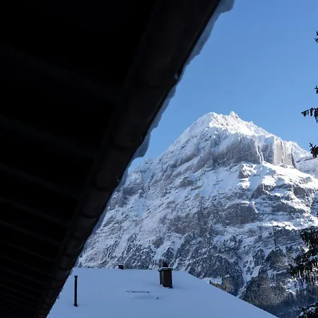 Apartmán The Glacier Express - Grindelhomes *