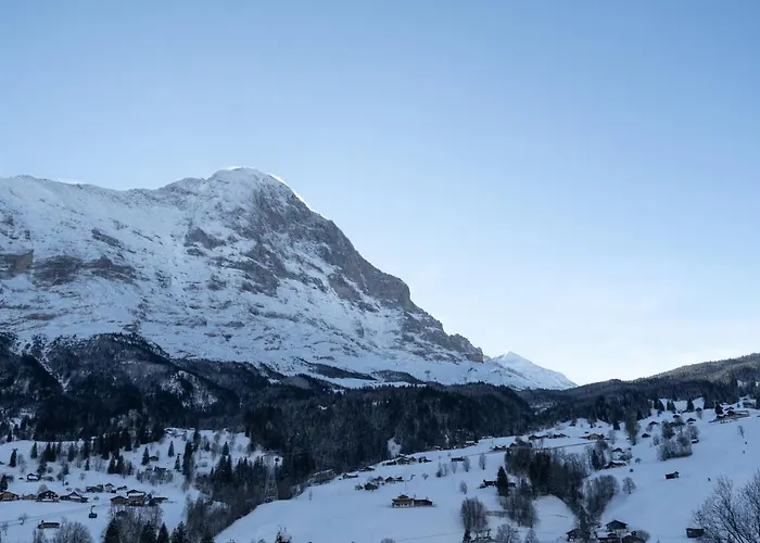 The Glacier Express - Grindelhomes Apartment Grindelwald