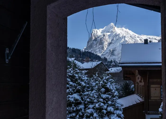 The Glacier Express - Grindelhomes Apartment *