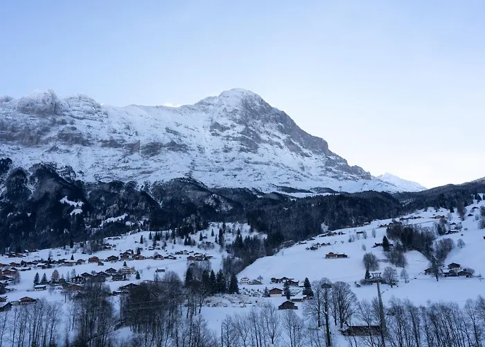 The Glacier Express - Grindelhomes