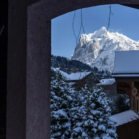 The Glacier Express - Grindelhomes شقة *